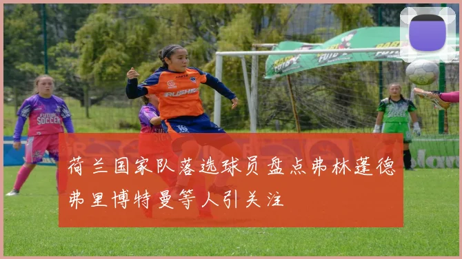 荷兰国家队落选球员盘点弗林蓬德弗里博特曼等人引关注
